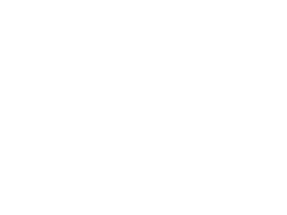 CLEVERPRO BY TORA LABS